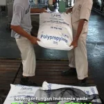 Harga Plastik Melonjak, DPR Soroti Ketergantungan Impor, Pemda Dorong Peralihan ke Bahan Ramah Lingkungan