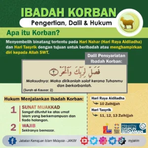 Mengenal Hukum dan Panduan Ibadah Kurban di Hari Raya Iduladha