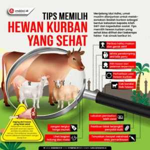 Cara Memilih Hewan Kurban yang Tepat dan Berdampak Positif pada Masyarakat