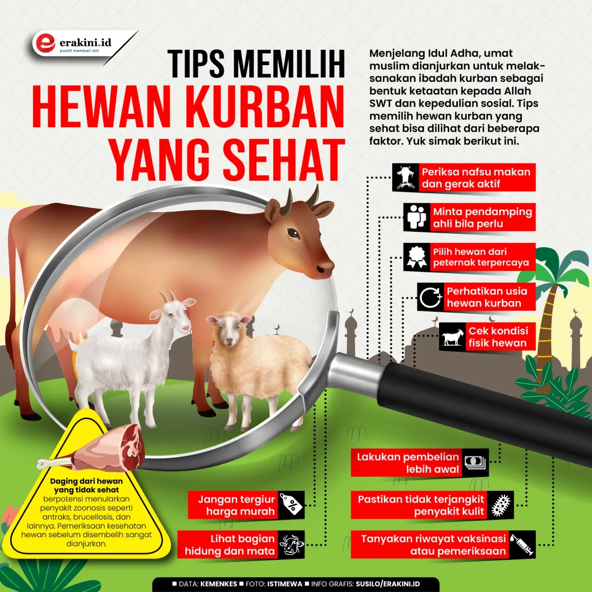 Cara Memilih Hewan Kurban yang Tepat dan Berdampak Positif pada Masyarakat