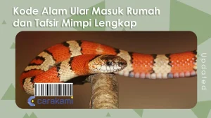 Kode Alam Ular Masuk Dapur: Pertanda Rezeki atau Musibah?