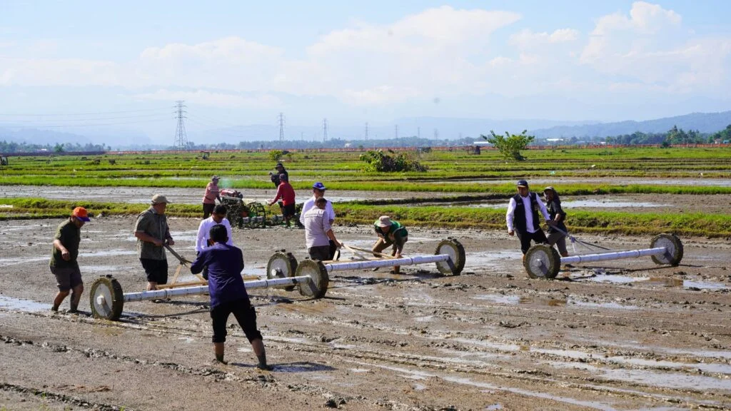 Revolusi Pertanian Nasional: PM-AAS Meningkatkan Produktivitas Padi Hingga 12,4 Ton per Hektare