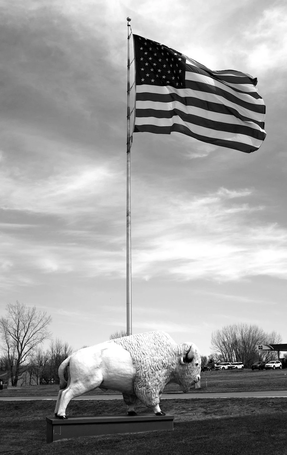 Bison: Simbol Kemerdekaan Amerika dan Karya Seni Prasejarah