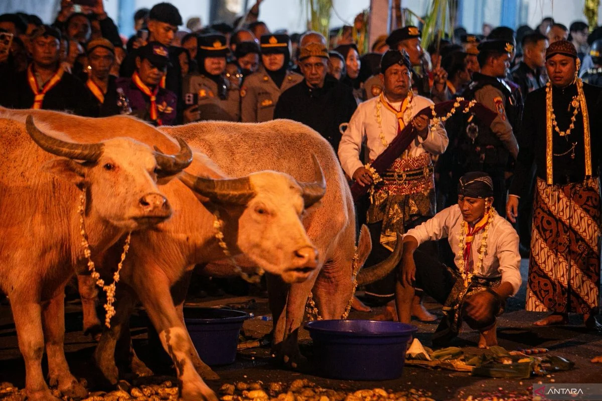 Mengenal Arti 1 Suro dalam Tradisi Jawa pada Tahun Baru Hijriyah 1448