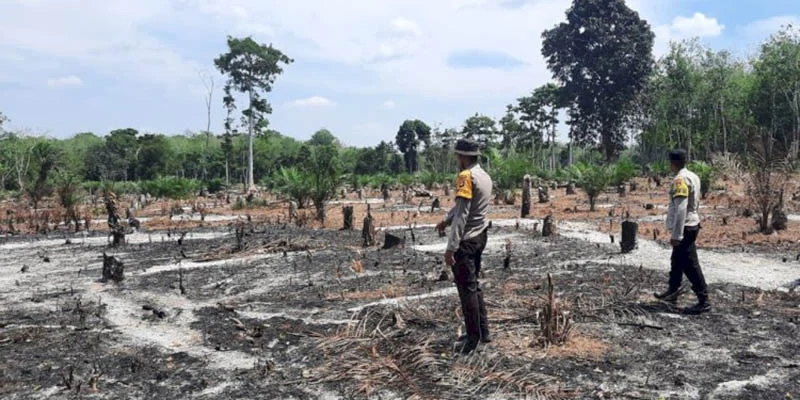 Musi Rawas Menghadapi Tantangan Kebakaran Hutan dan Lahan