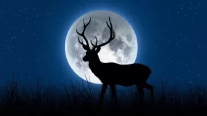 Purnama Buck Moon: Fenomena Langit yang Menghadirkan Keberuntungan Bagi Beberapa Zodiak