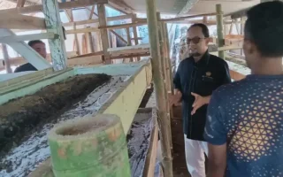 Cacing Jadi Solusi Inovatif Wisata Podol Sapi di Desa Sukamurni Garut