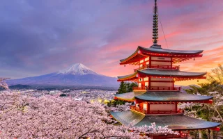 Jepang Cetak Rekor Dunia: Lebih dari 100.000 Warga Berusia di Atas 100 Tahun