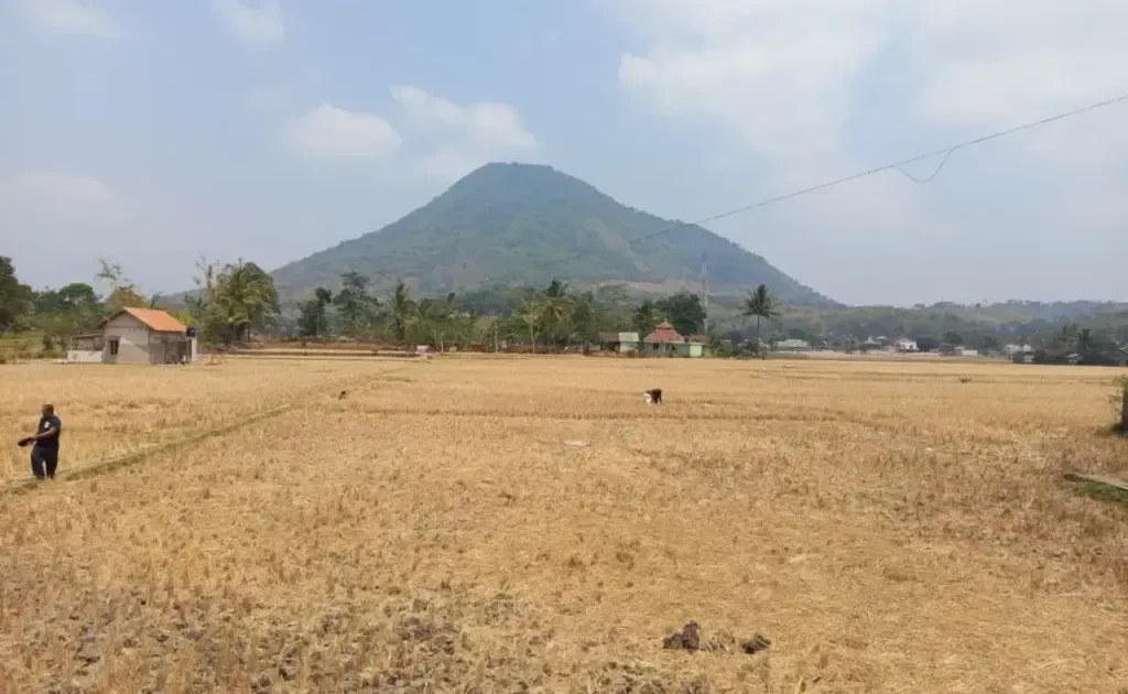 Kekeringan Meluas di Garut, BPBD Salurkan 497 Ribu Liter Air Bersih ke 13 Kecamatan