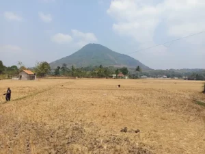 Kekeringan Meluas di Garut, BPBD Salurkan 497 Ribu Liter Air Bersih ke 13 Kecamatan