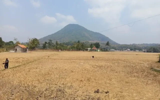 Kekeringan Meluas di Garut, BPBD Salurkan 497 Ribu Liter Air Bersih ke 13 Kecamatan