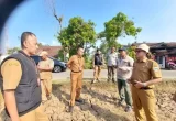 Kemarau Panjang, 176,80 Hektare Sawah di Garut Puso, Dispertan Siapkan Bantuan Benih