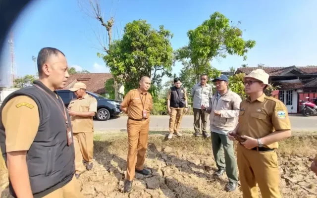 Kemarau Panjang, 176,80 Hektare Sawah di Garut Puso, Dispertan Siapkan Bantuan Benih