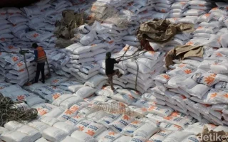 Indonesia Resmi Setop Impor Beras, Petani Negara Lain Dikabarkan Demo, Stok Nasional Aman 4,8 Juta Ton