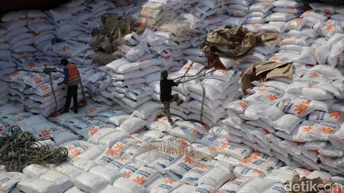 Indonesia Resmi Setop Impor Beras, Petani Negara Lain Dikabarkan Demo, Stok Nasional Aman 4,8 Juta Ton